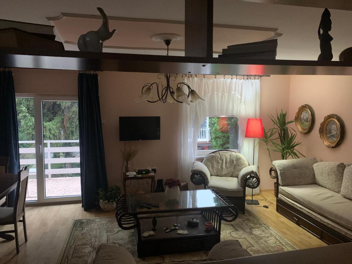 Apartmani Stojanovic Sremska Kamenica Exterior foto