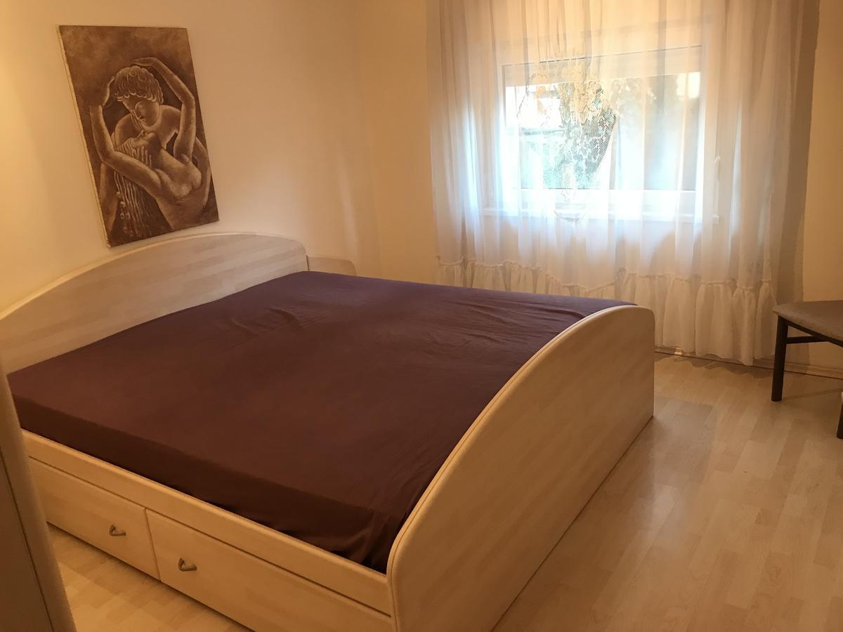 Apartmani Stojanovic Sremska Kamenica Habitación foto