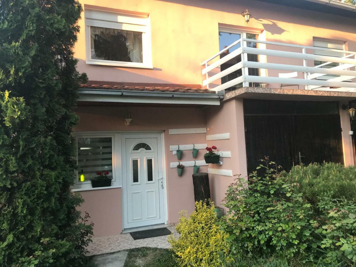 Apartmani Stojanovic Sremska Kamenica Exterior foto