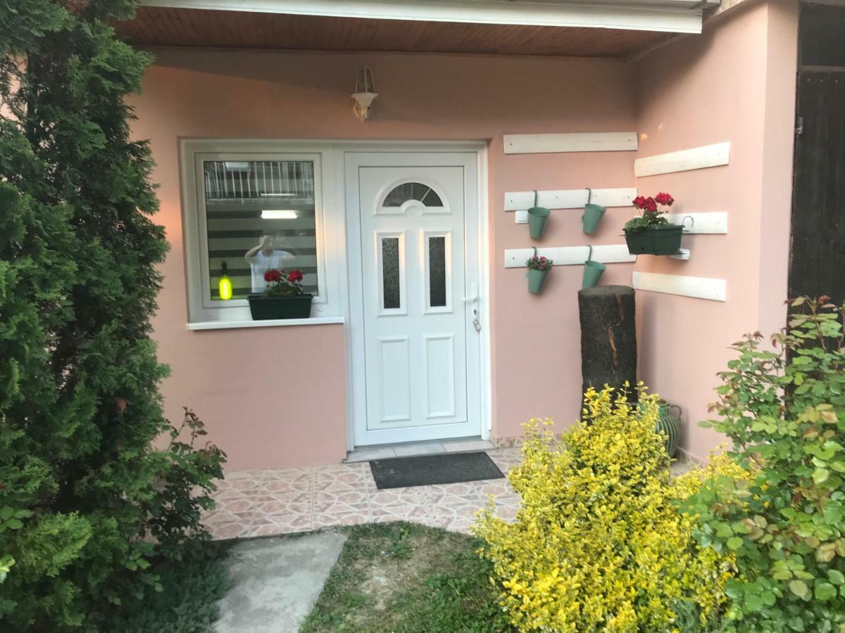Apartmani Stojanovic Sremska Kamenica Exterior foto
