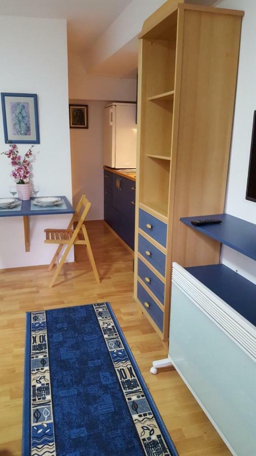 Apartmani Stojanovic Sremska Kamenica Exterior foto