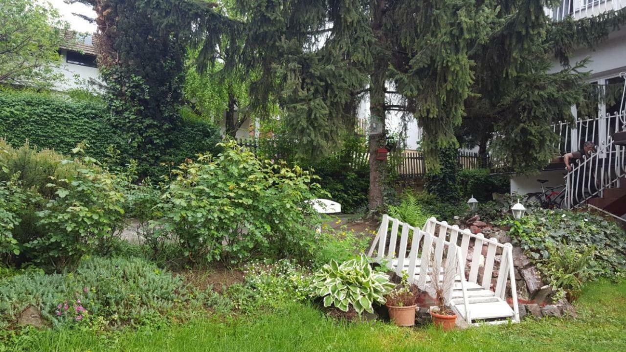 Apartmani Stojanovic Sremska Kamenica Exterior foto