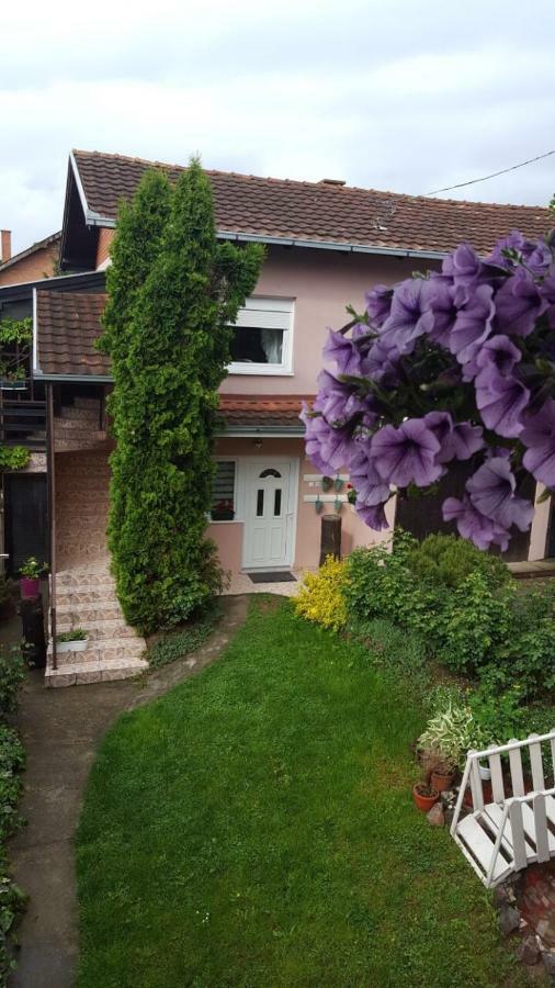 Apartmani Stojanovic Sremska Kamenica Exterior foto