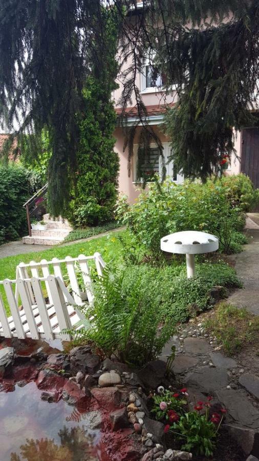 Apartmani Stojanovic Sremska Kamenica Exterior foto